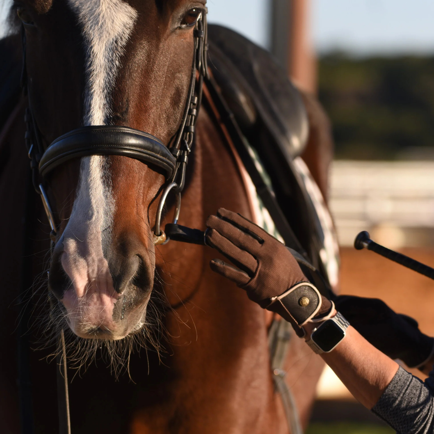 Sixteen Cypress Riding Gloves, Tobacco