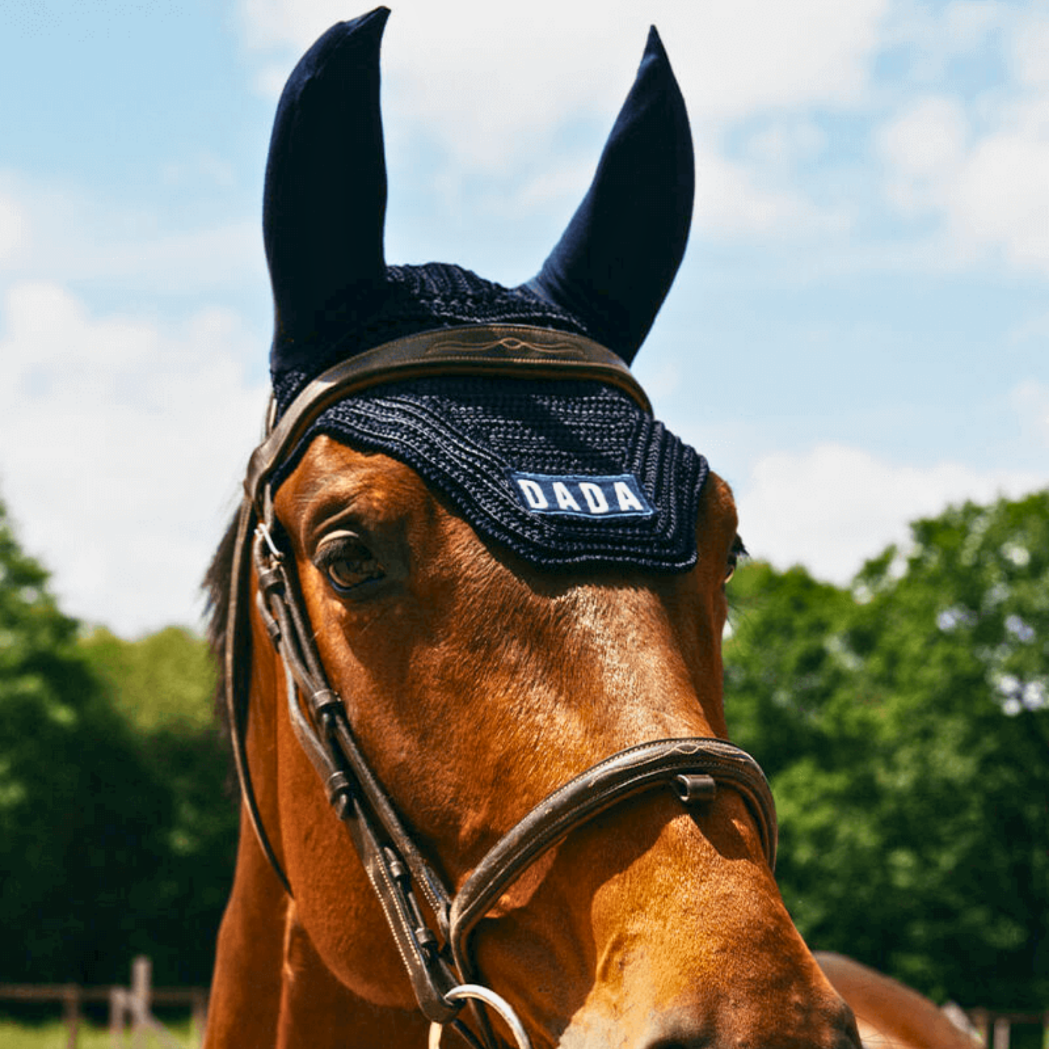 Dada Sport Polias Fly Veil, Marine
