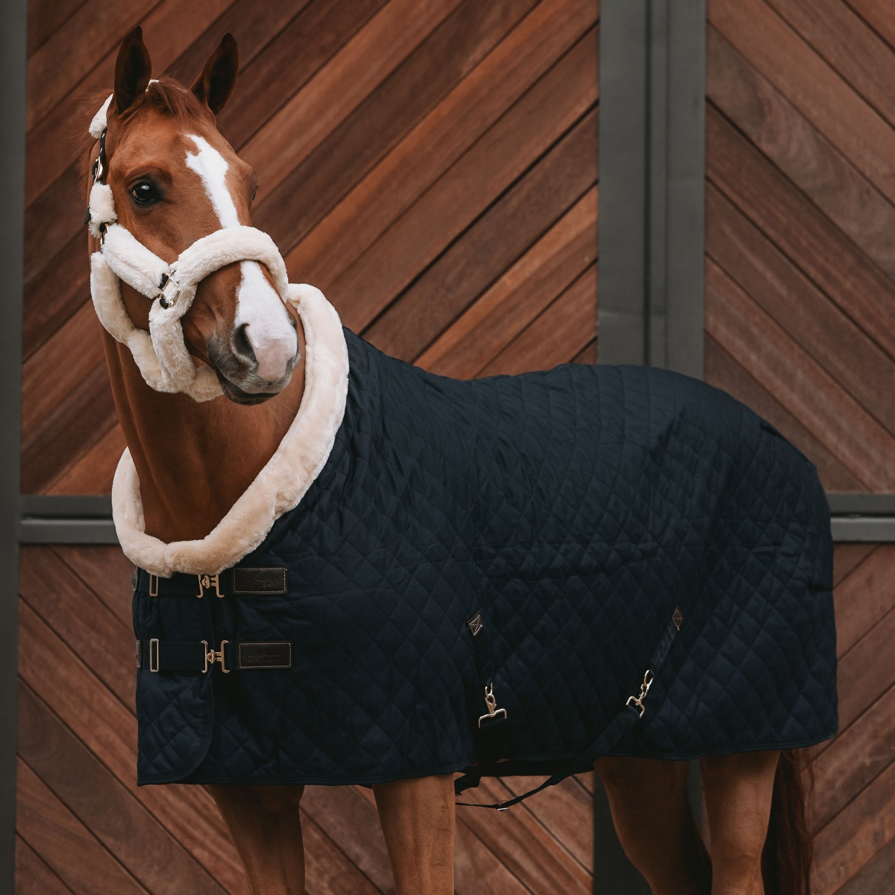 Kentucky Horsewear Show Rug, Black
