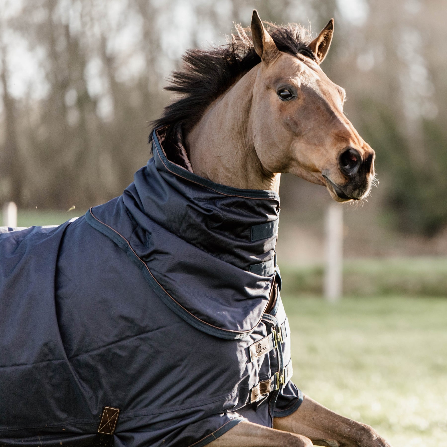 Kentucky Horsewear Turnout Rug All Weather Waterproof, 0g