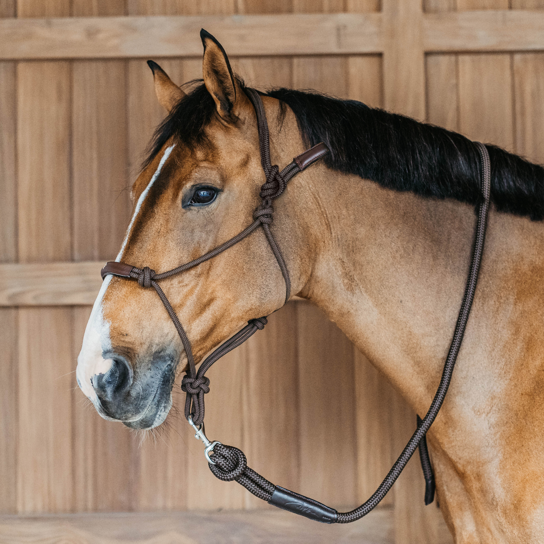 Dy'on Training Halter, Brown