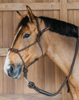 Dy'on Training Halter, Brown