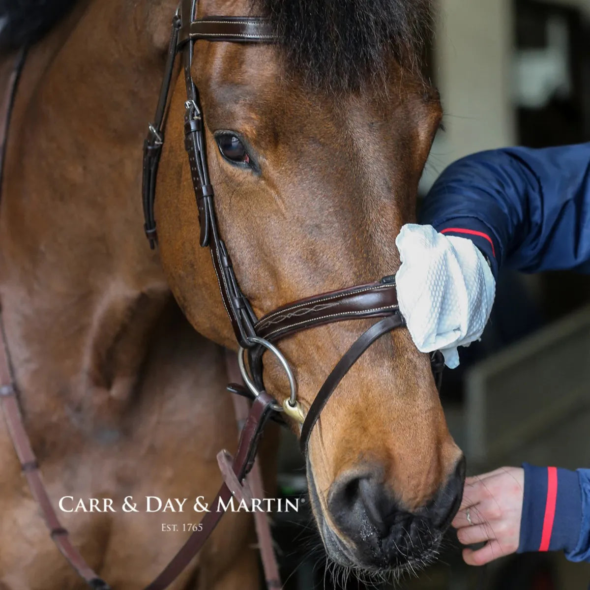 Carr & Day & Martin Belvoir Tack Cleaner Mitt
