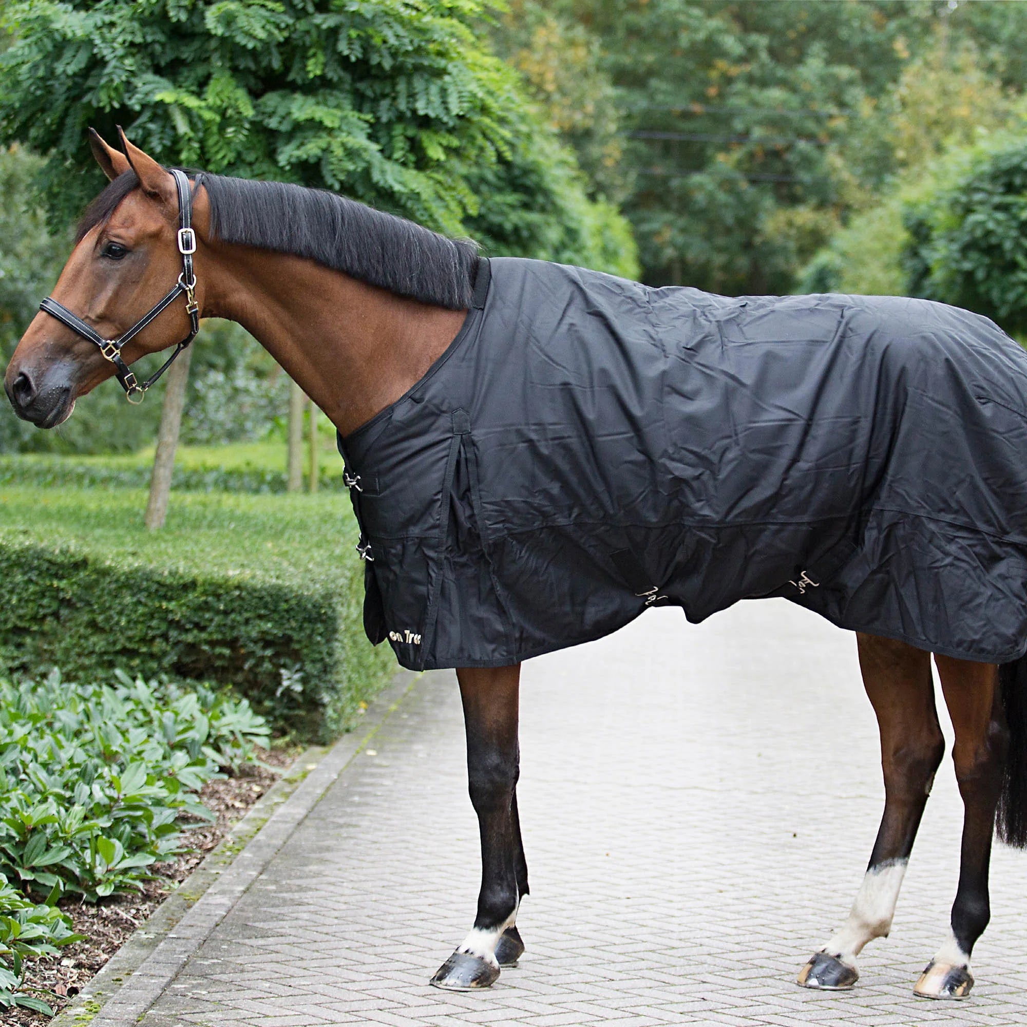Back on Track Therapeutic Classic Turnout Sheet