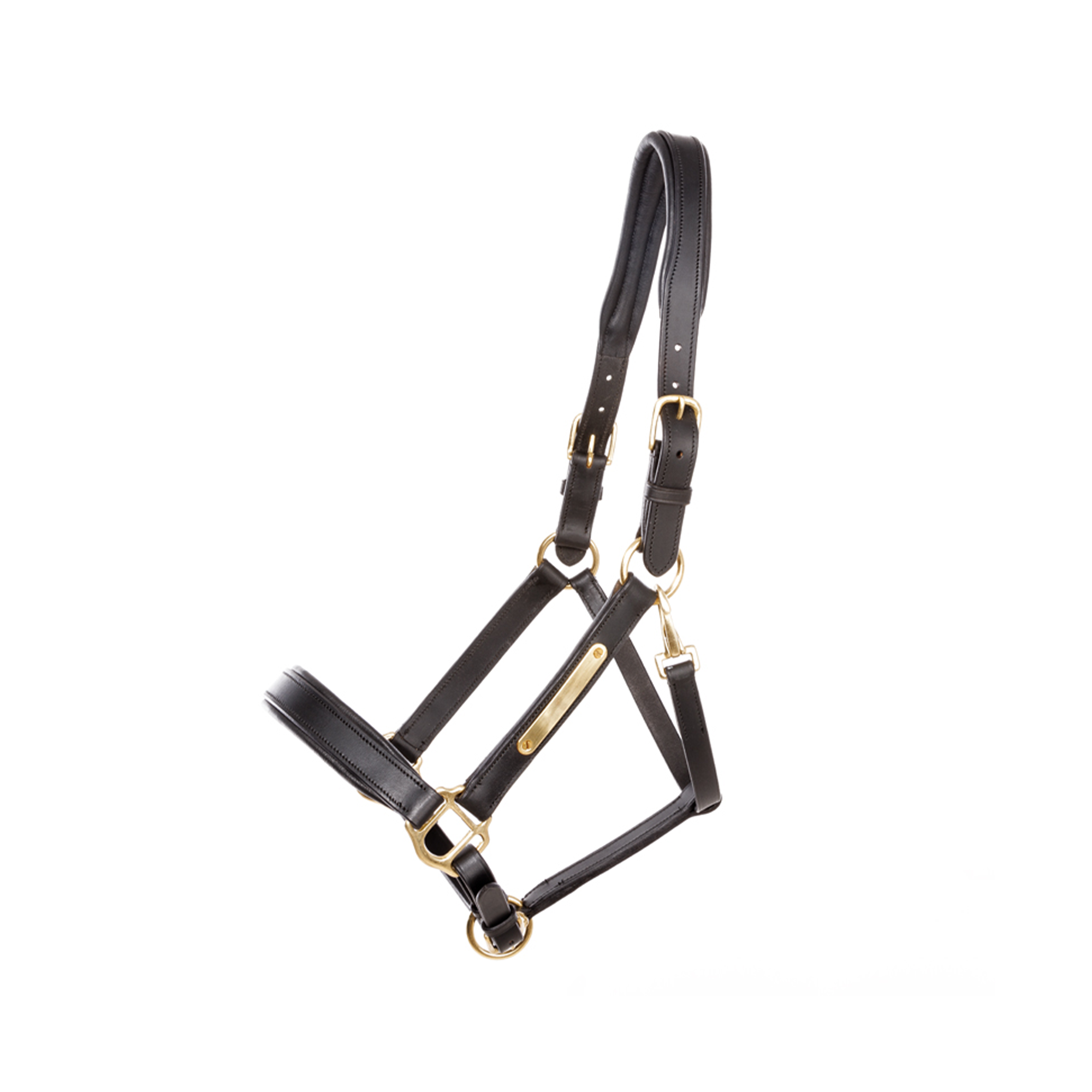 Kavalkade Cinta Leather Halter, Black with Brass