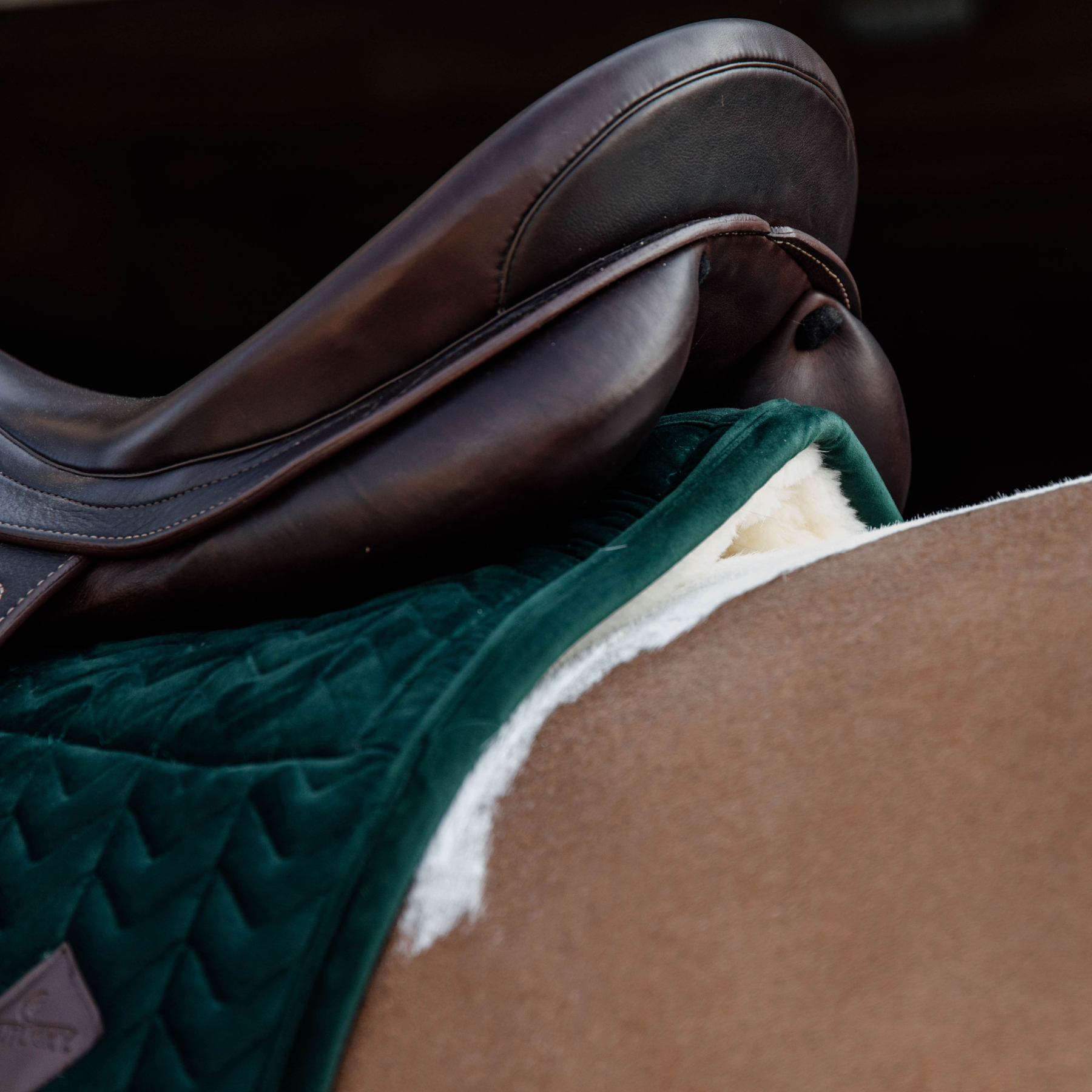 Kentucky Horsewear Skin Friendly Saddle Pad Velvet Dressage, Pine Green