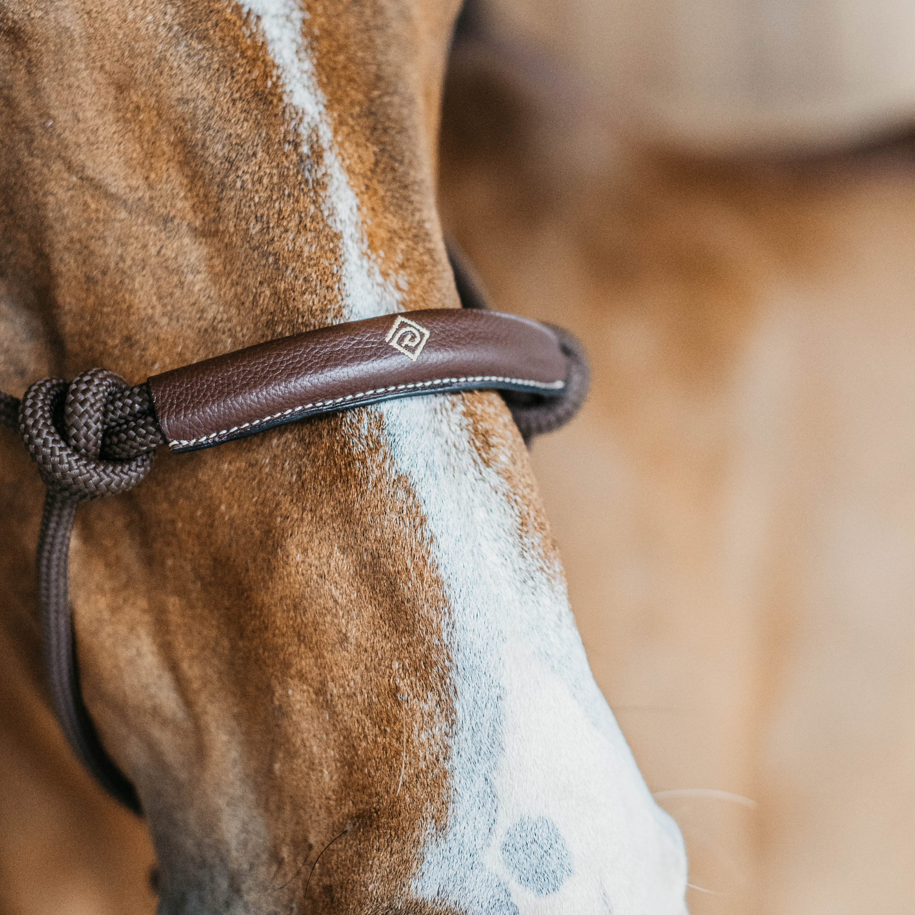 Dy'on Training Halter, Brown
