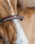Dy'on Training Halter, Brown