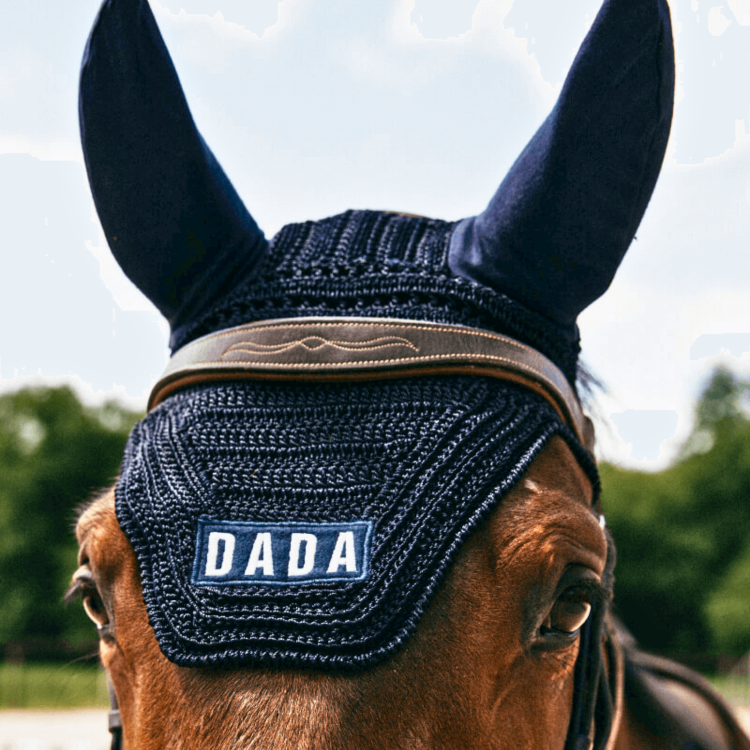 Dada Sport Polias Fly Veil, Marine