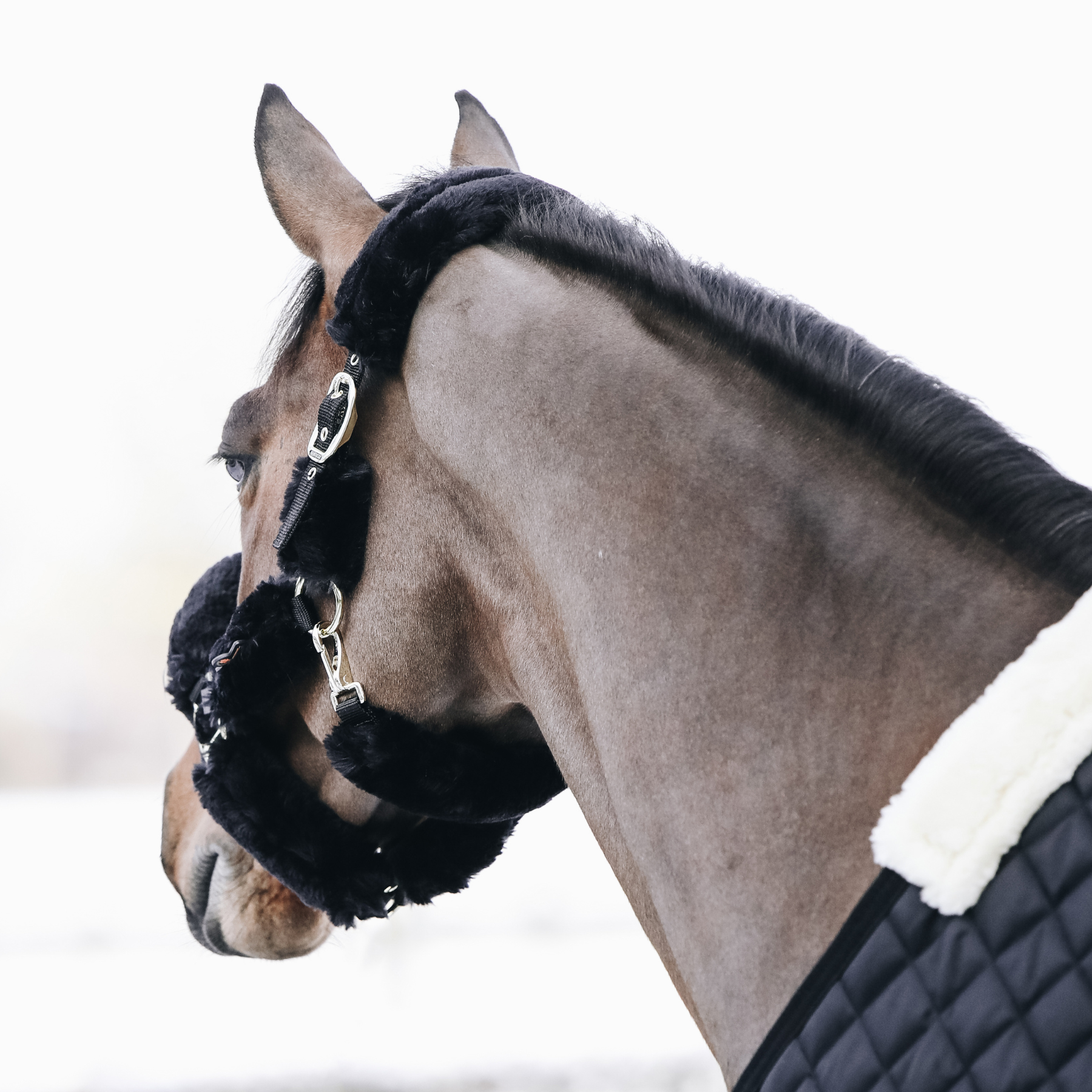 Kentucky Horsewear Sheepskin Shipping Halter, Black