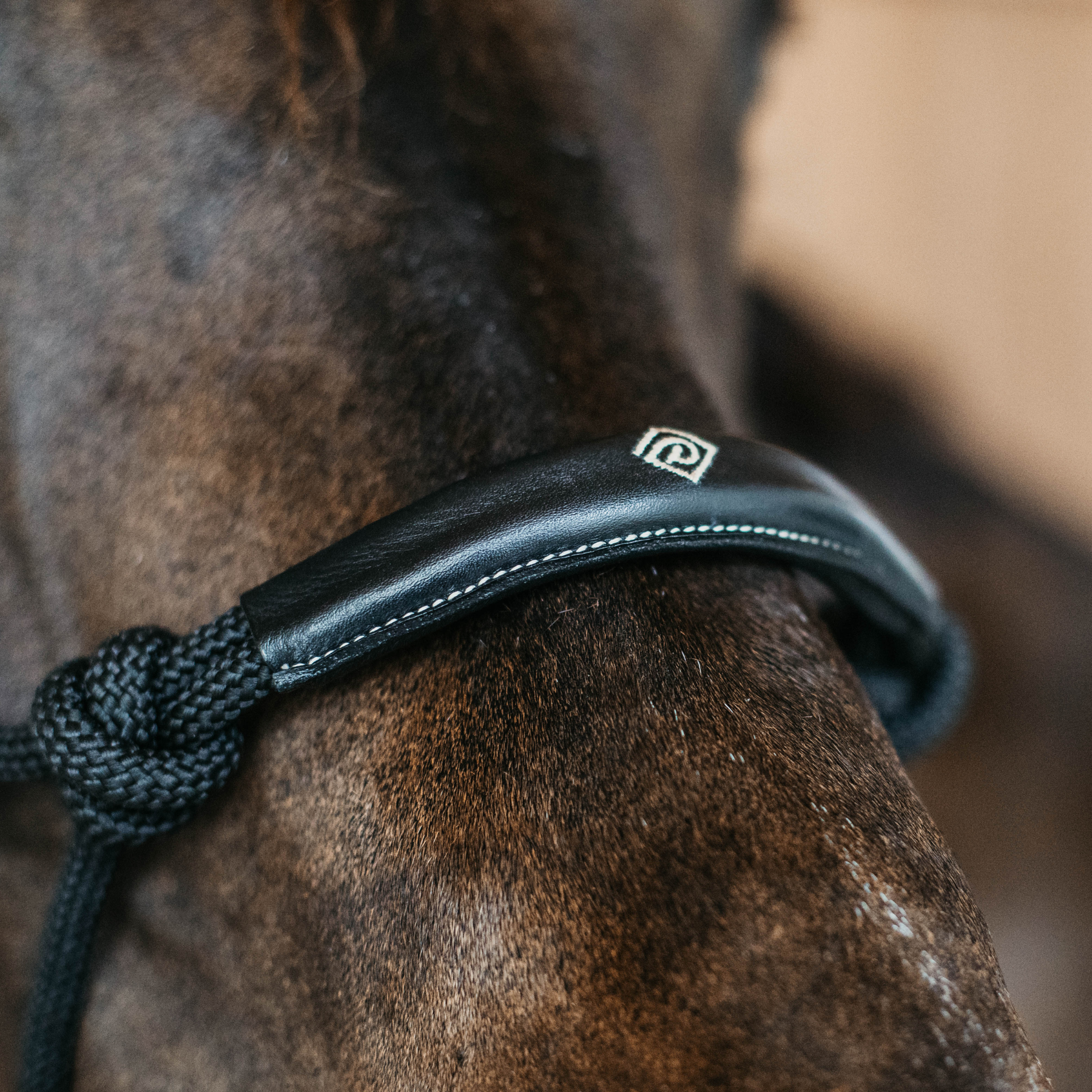 Dy'on Training Halter, Black