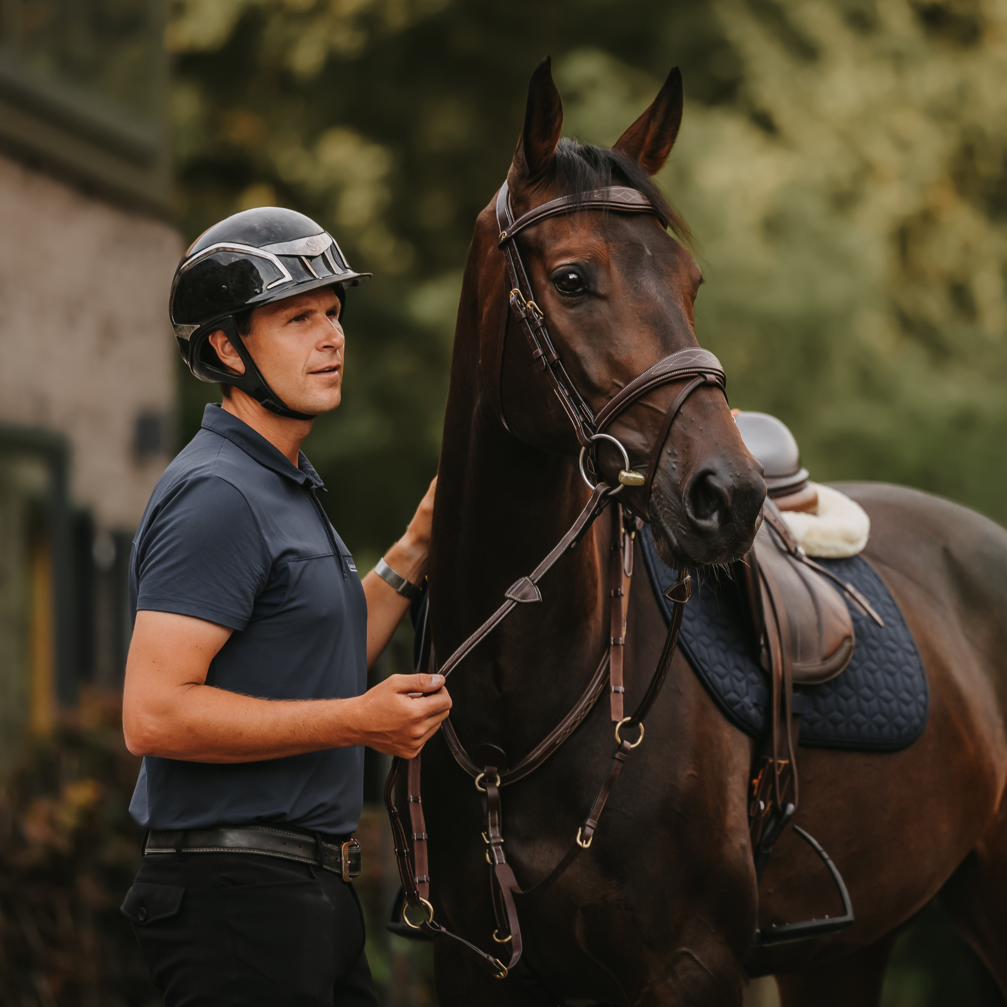 Dy'on Anatomic Flash Noseband Bridle, Brown, D Collection