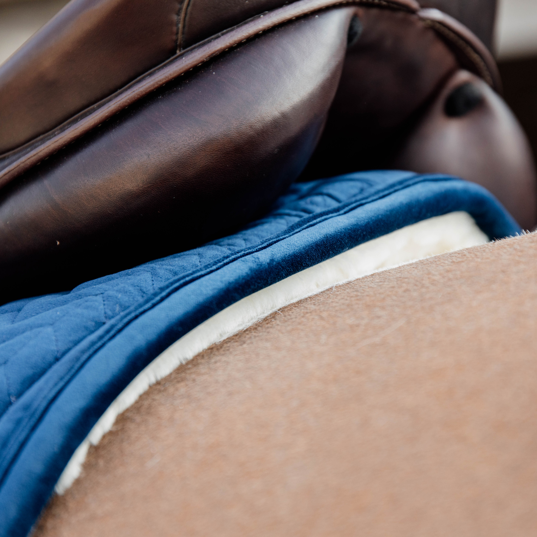 Kentucky Horsewear Skin Friendly Saddle Pad Velvet Dressage, Navy