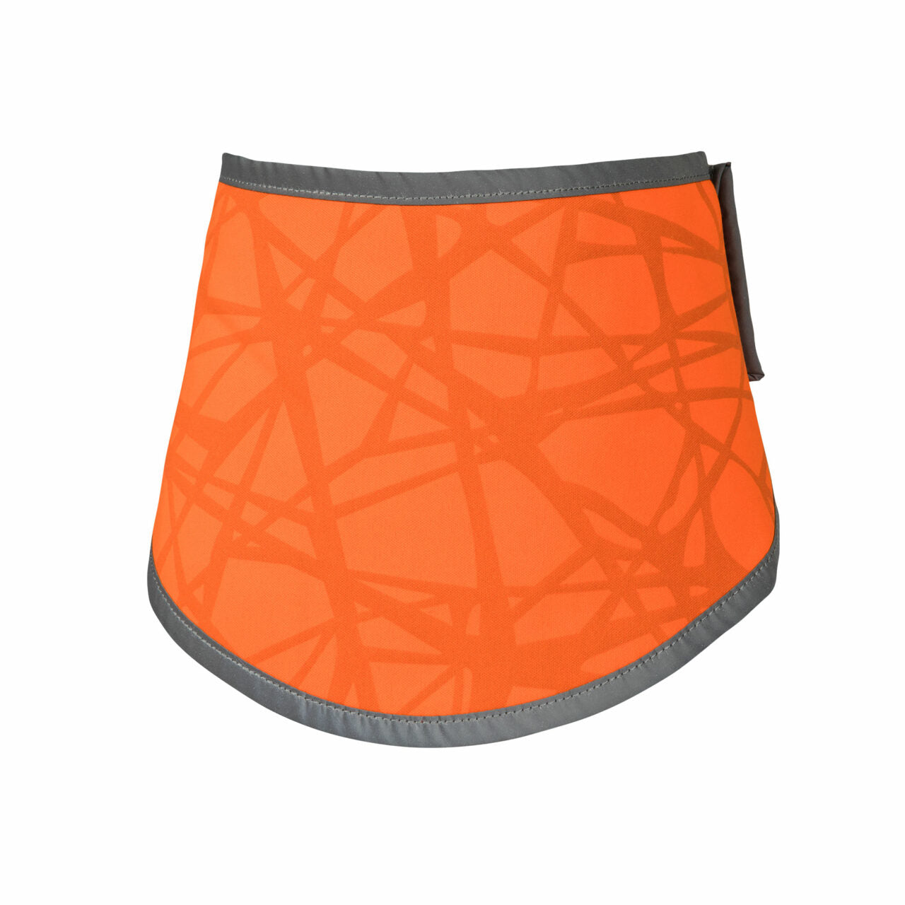 Back on Track Draco High Visibility Bandana for Dogs