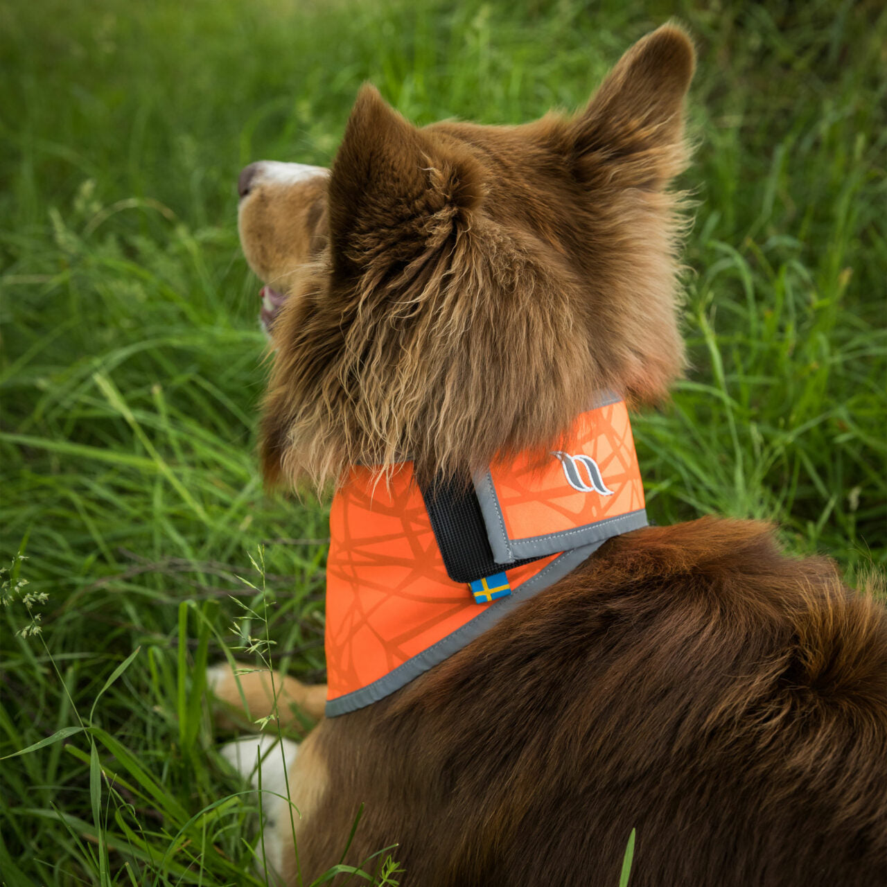 Back on Track Draco High Visibility Bandana for Dogs