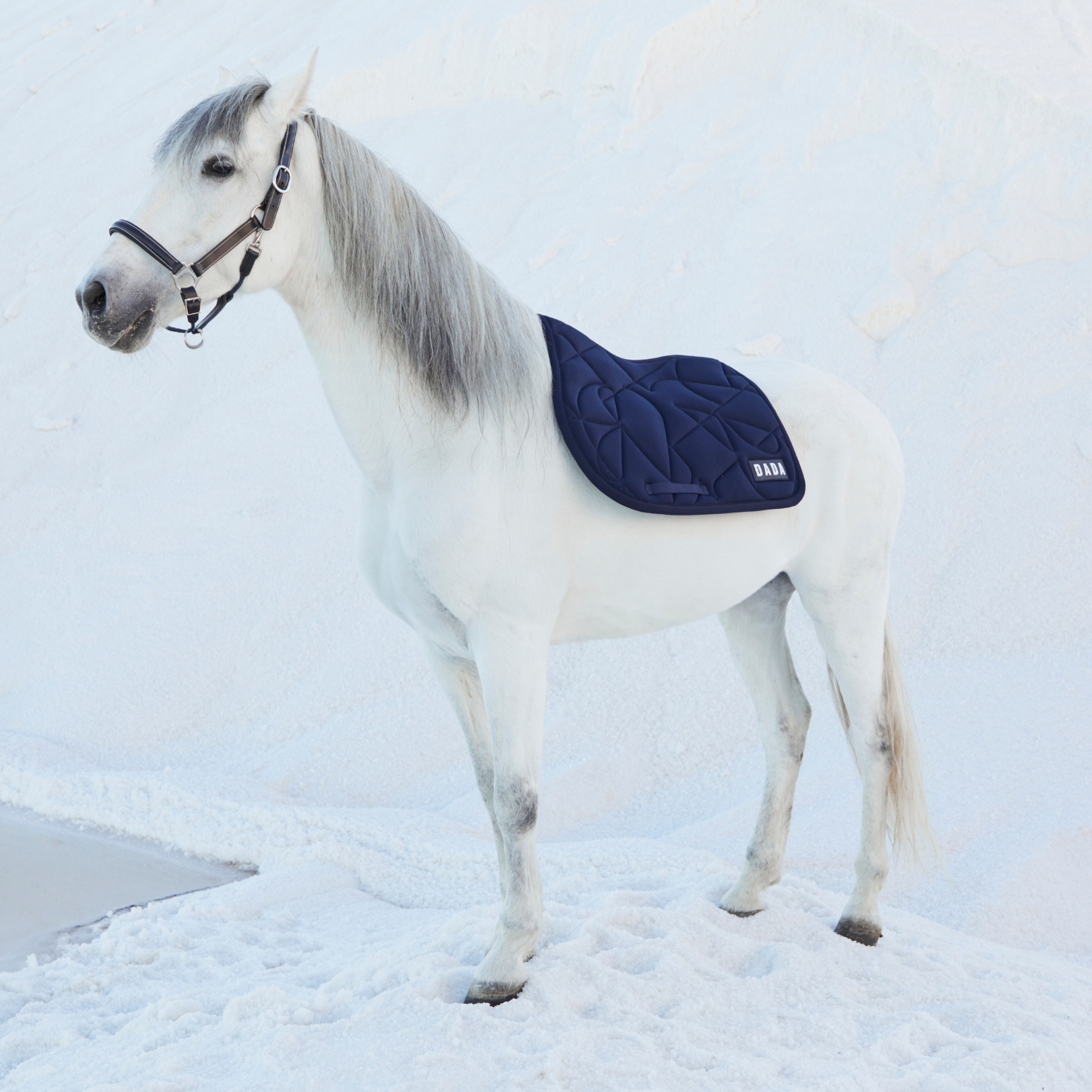 Dada Sport Fit For Fun Saddle Pad, Marine
