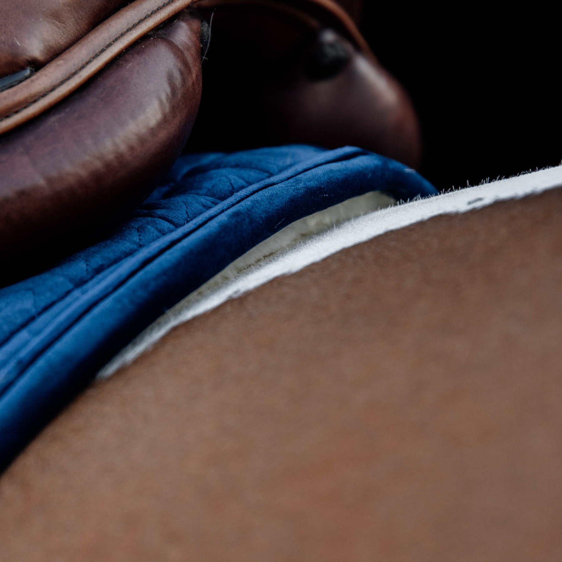 Kentucky Horsewear Skin Friendly Saddle Pad Velvet Jumping, Navy