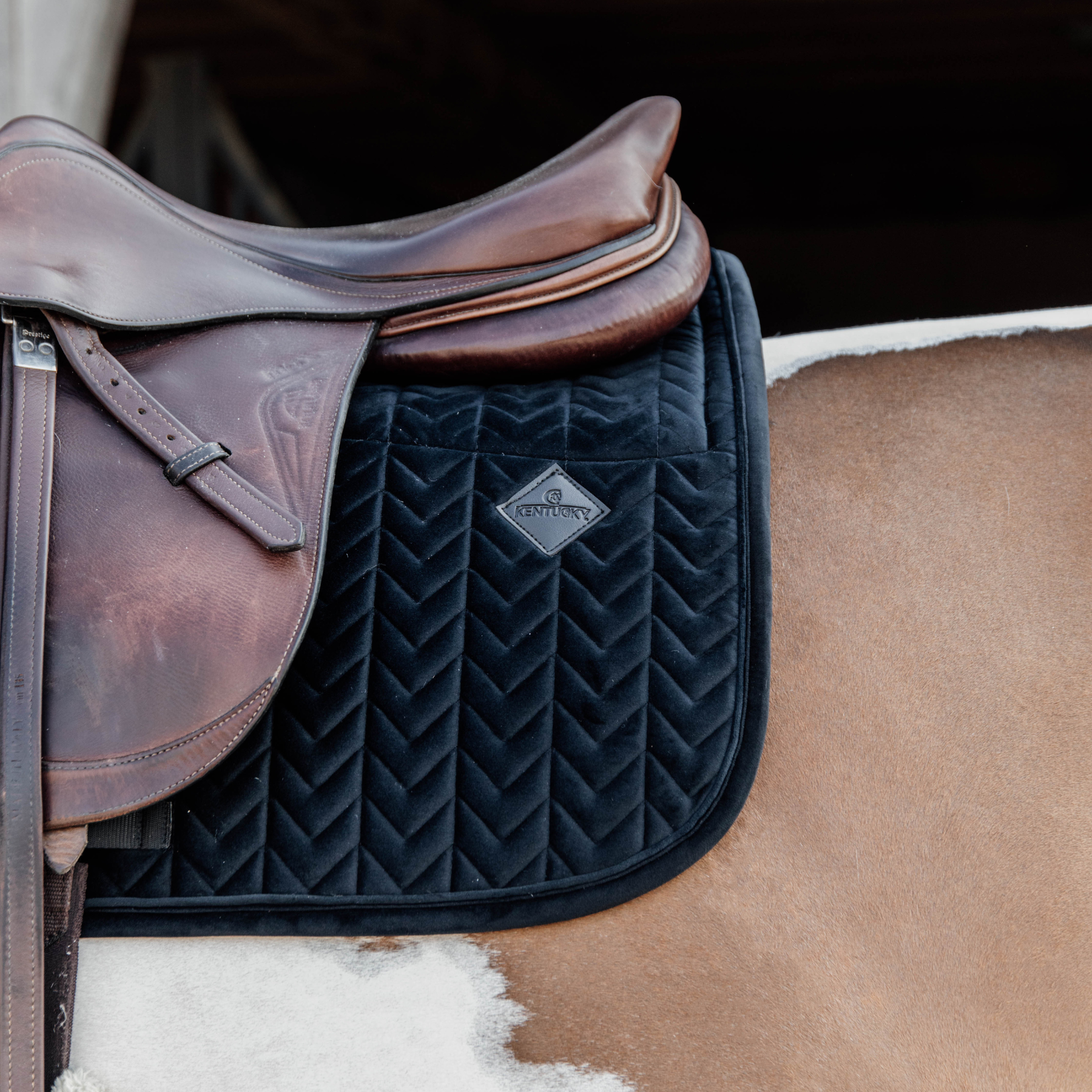 Kentucky Horsewear Skin Friendly Saddle Pad Velvet Jumping, Black