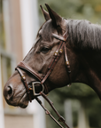 Dy'on Anatomic Flash Noseband Bridle, Brown, D Collection