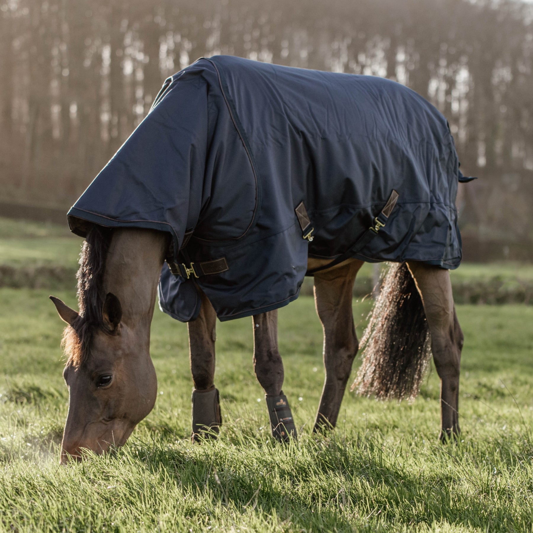 Kentucky Horsewear Turnout Rug All Weather Waterproof, 0g