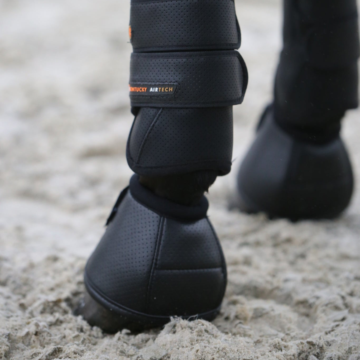 Kentucky Horsewear Overreach Boots Air Tech, Black