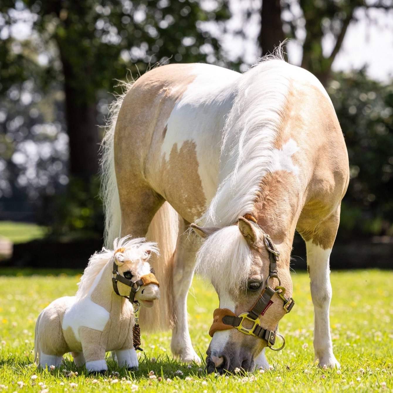 LeMieux Toy Pony Lemon