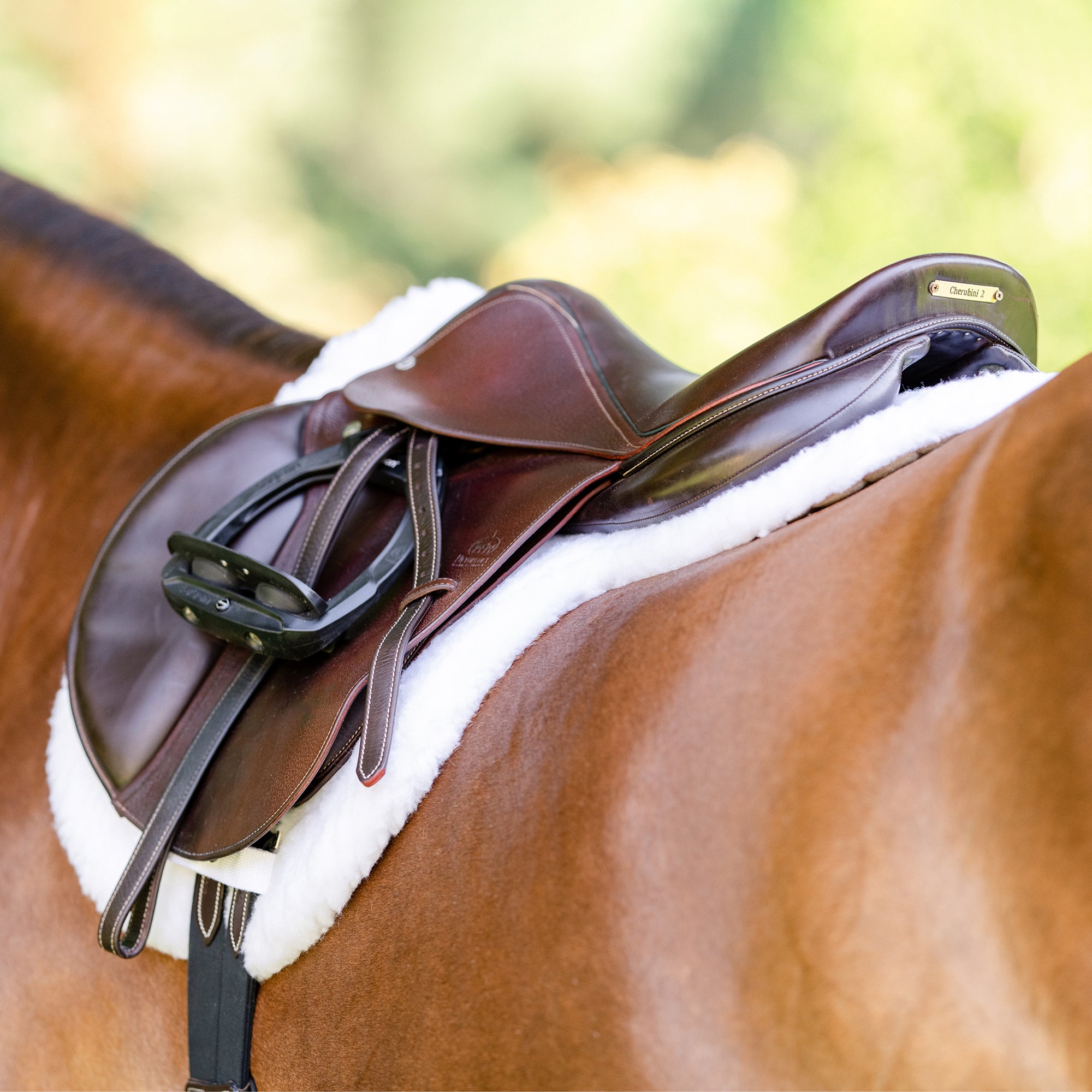 Equifit Essential Hunter Pad