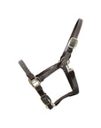 Kentucky Horsewear Plaited Nylon Halter, Gray