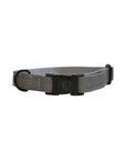 Kentucky Dog Collar Reflective