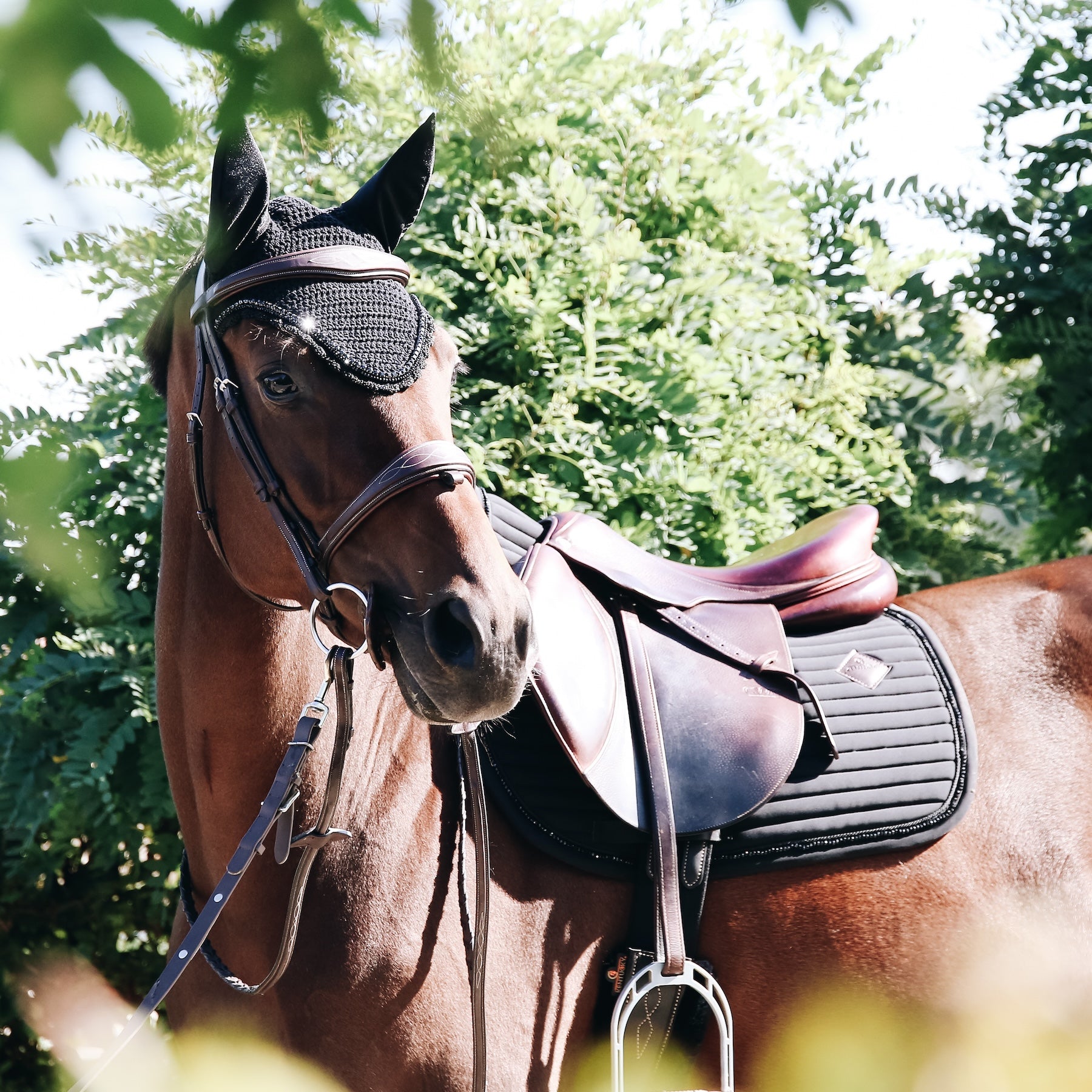 Kentucky Horsewear Saddle Pad Pearls Dressage Grey Edition