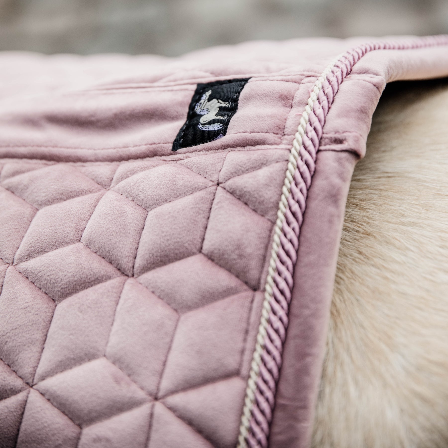 Kentucky Horsewear Saddle Pad Velvet, Pony