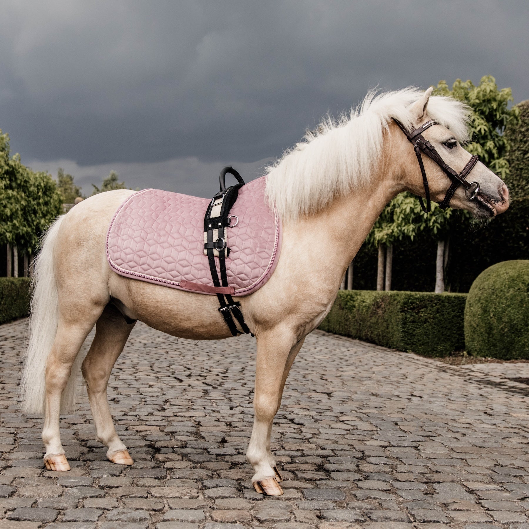 Kentucky Horsewear Saddle Pad Velvet, Pony