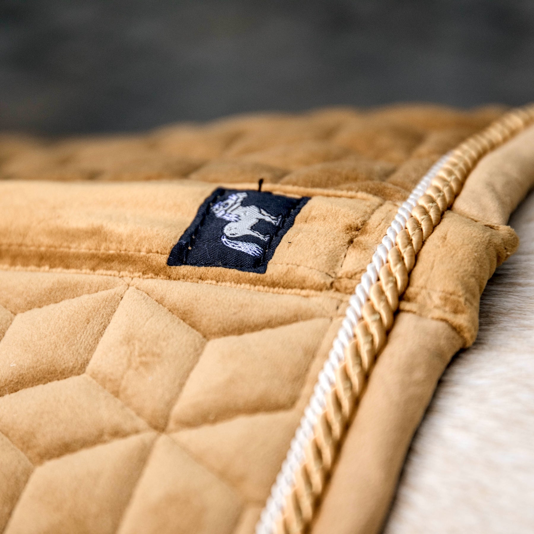 Kentucky Horsewear Saddle Pad Velvet, Pony