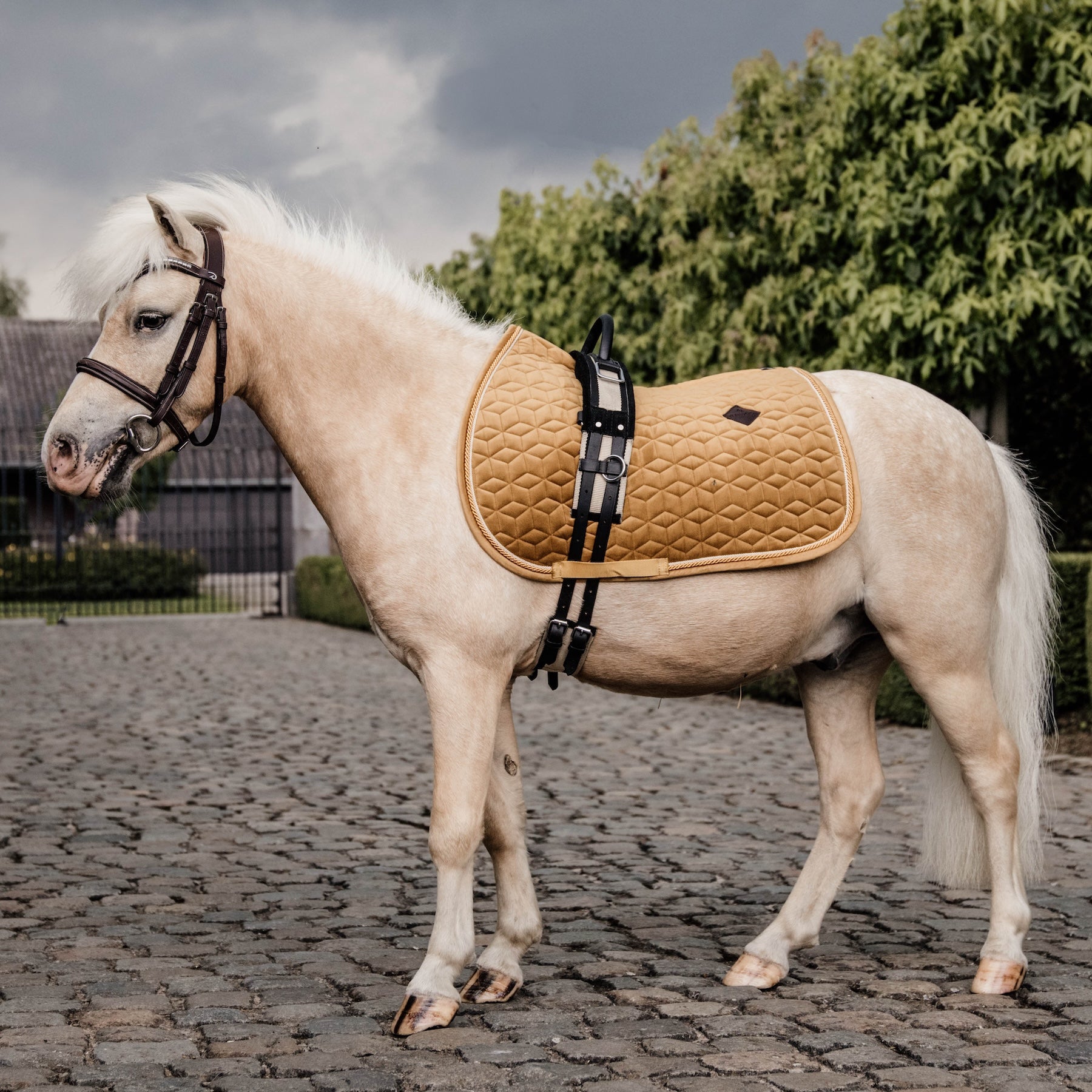 Kentucky Horsewear Saddle Pad Velvet, Pony