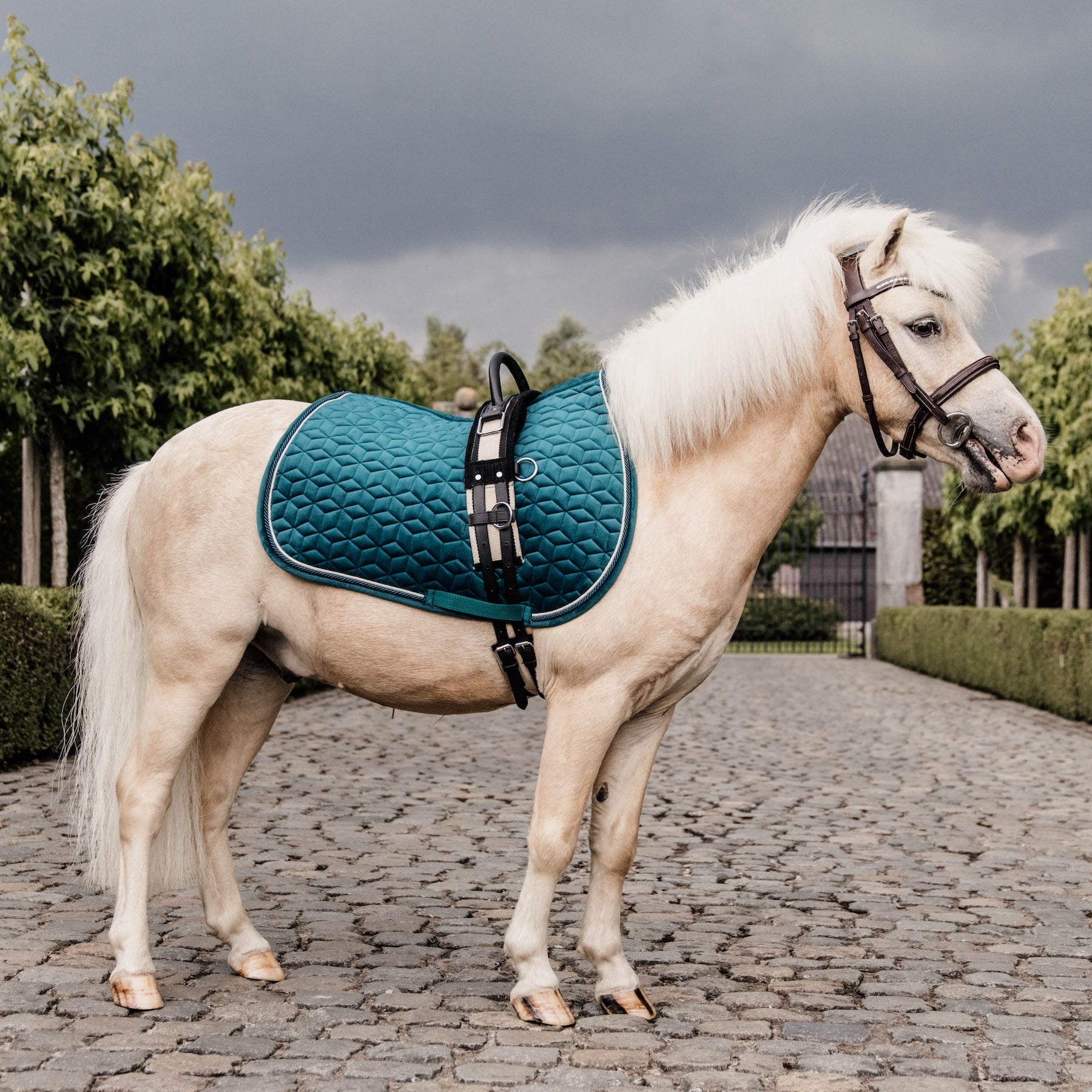 Kentucky Horsewear Saddle Pad Velvet, Pony