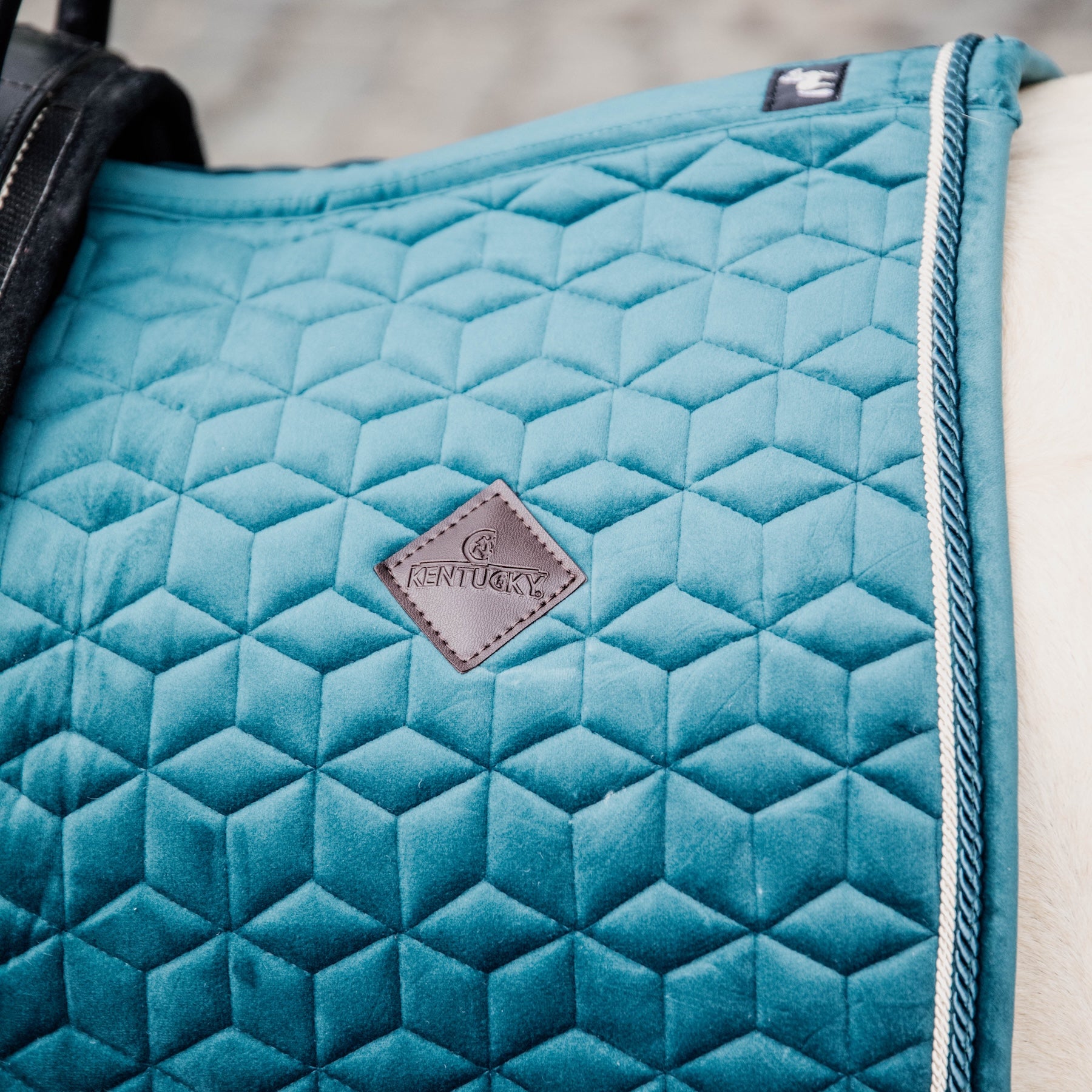 Kentucky Horsewear Saddle Pad Velvet, Pony