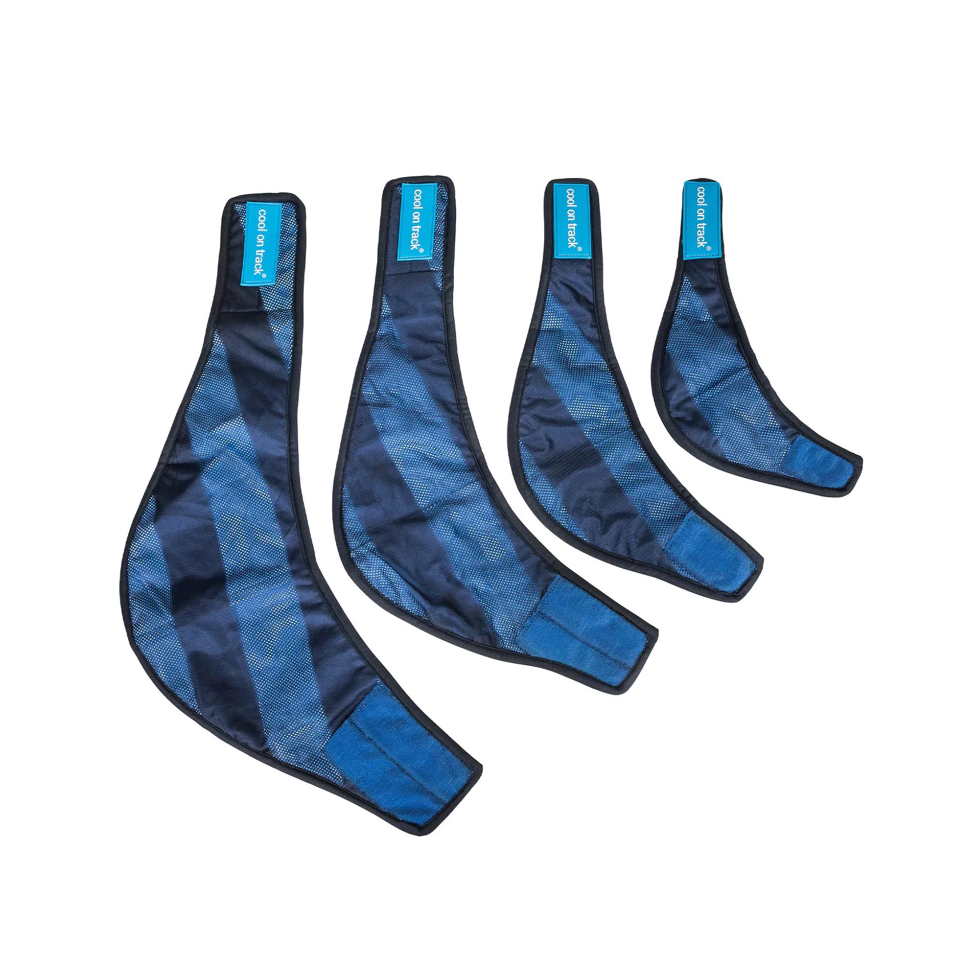 Back on Track Cool on Track Bandana, Blue