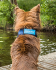 Back on Track Cool on Track Bandana, Blue