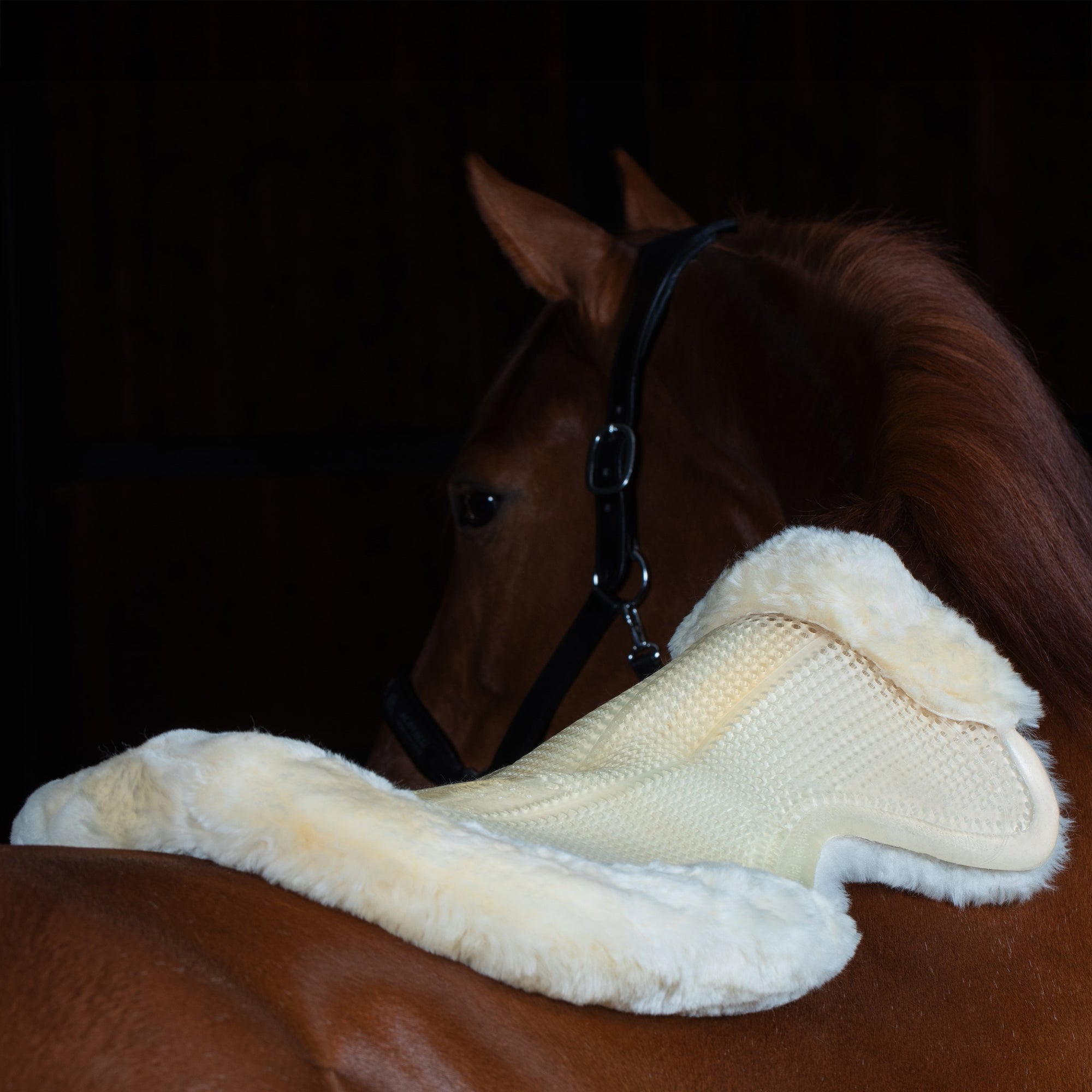 Acavallo CC Therapeutic Gel Non Slip Pad with Sheepskin, Transparent/Natural