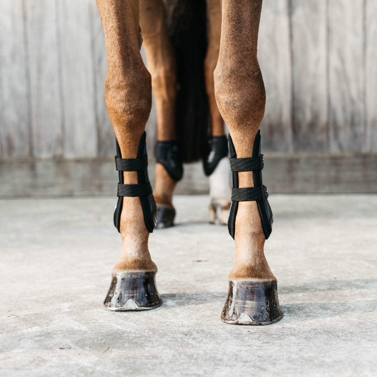 Kentucky Horsewear Bamboo Tendon Boots, Black