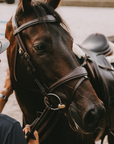 Dy'on Anatomic Flash Noseband Bridle, Brown, D Collection