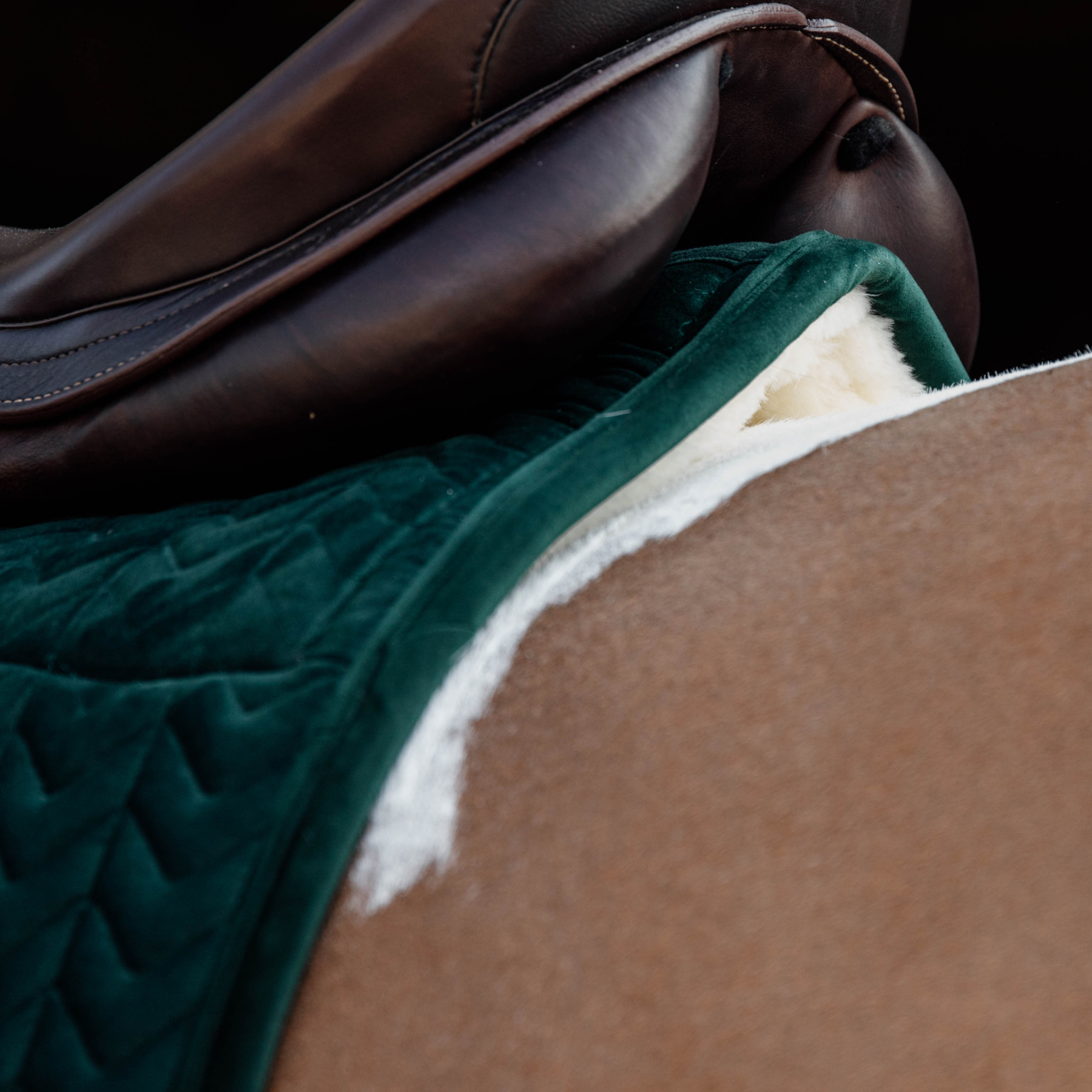 Kentucky Horsewear Skin Friendly Saddle Pad Velvet Jumping, Pine Green