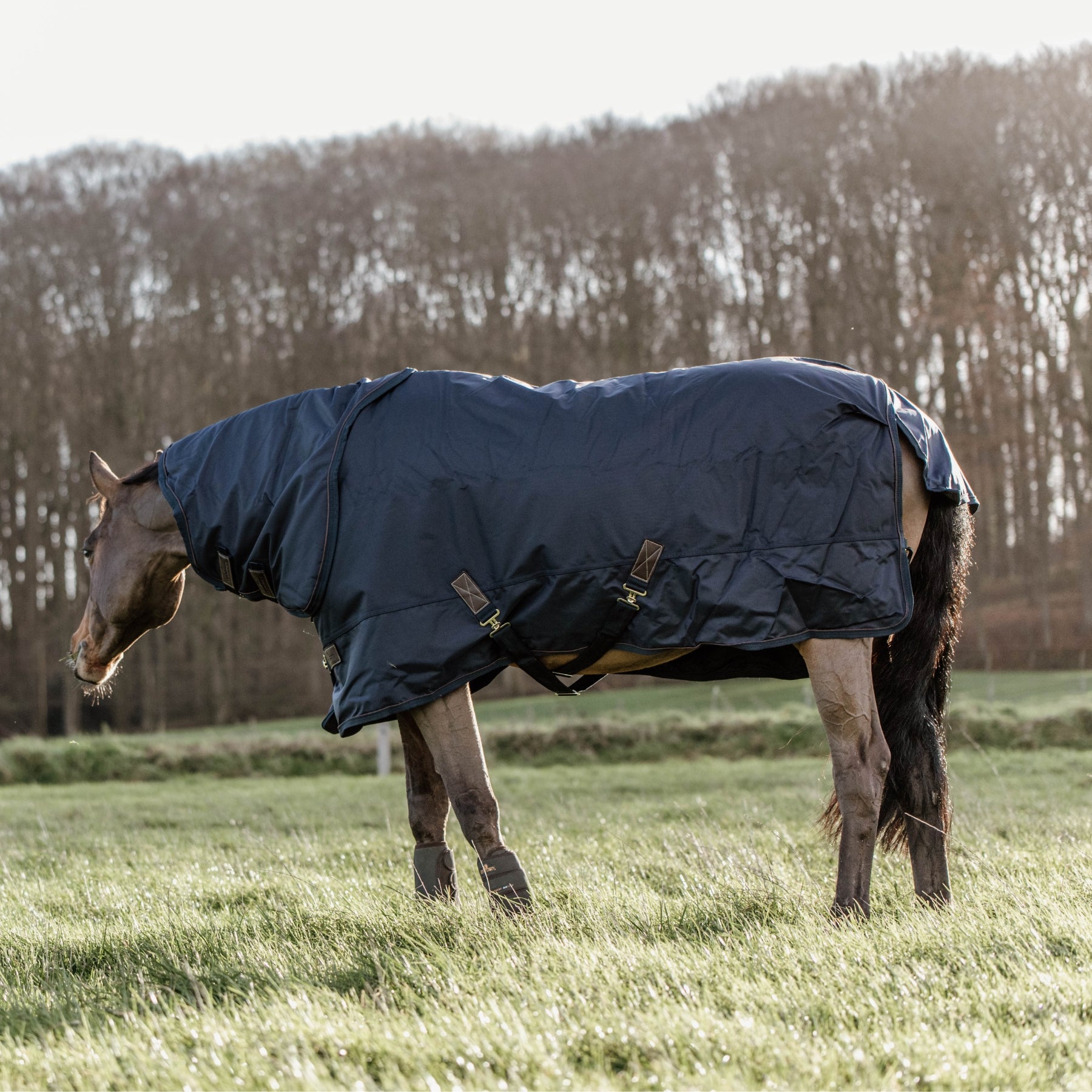 Kentucky Horsewear Turnout Rug All Weather Waterproof, 0g