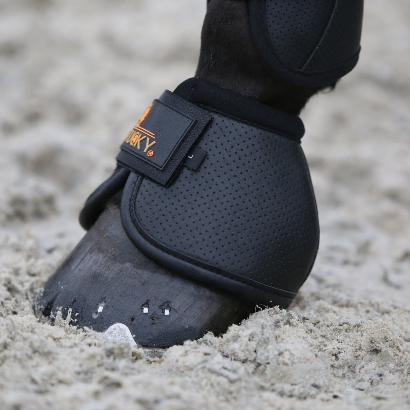 Kentucky Horsewear Overreach Boots Air Tech, Black