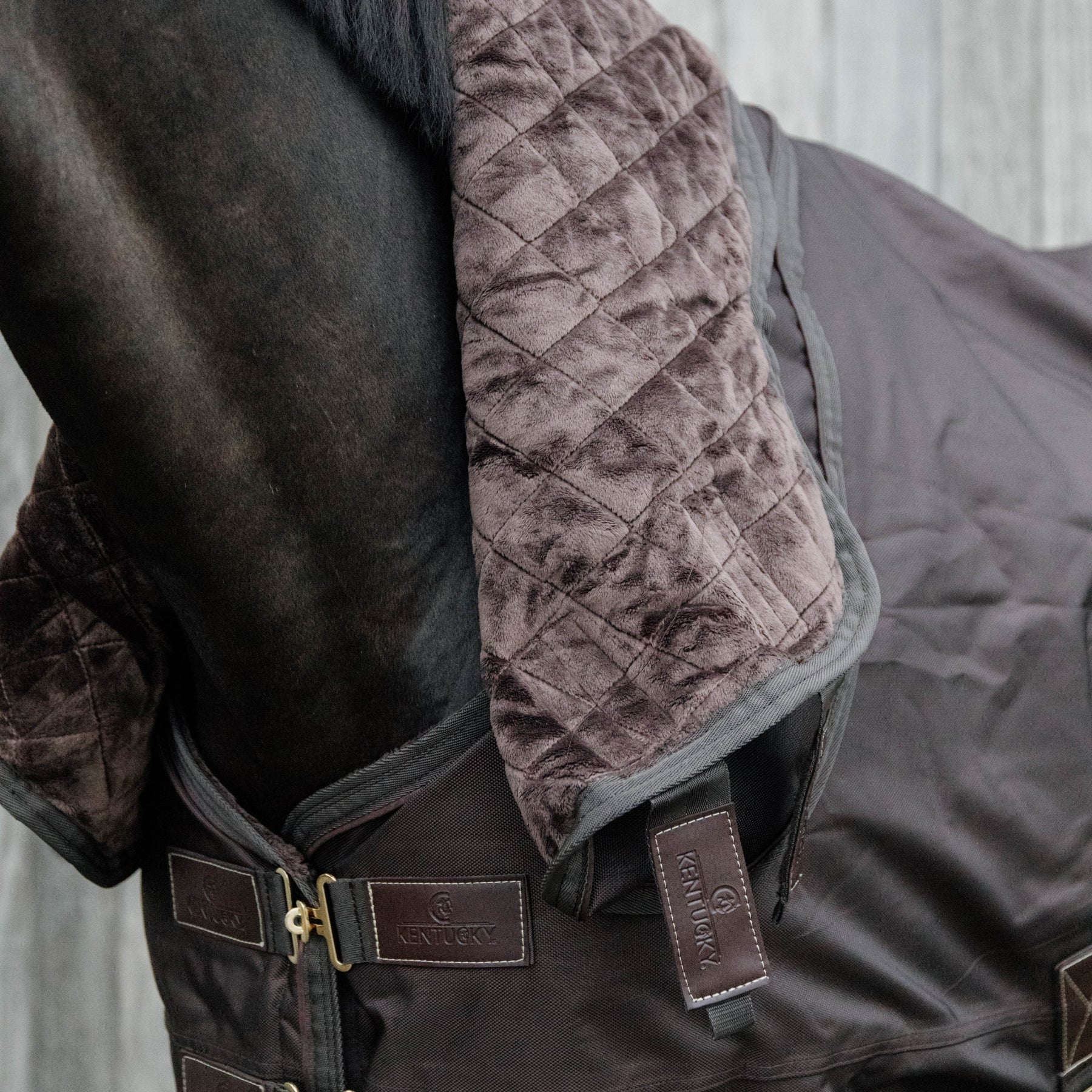 Kentucky Horsewear Turnout Rug All Weather Waterproof Pro 160g, Brown