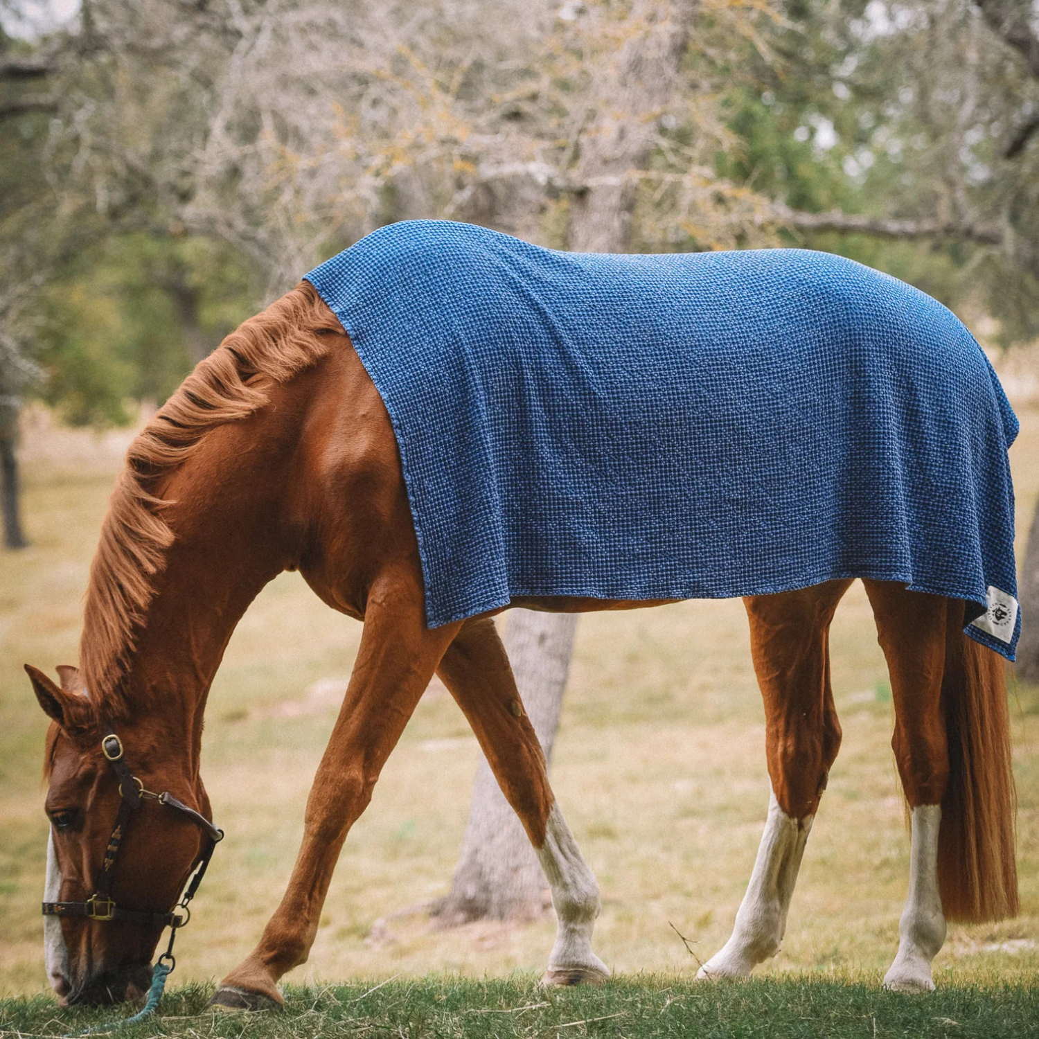 Sixteen Cypress Cotton Waffle Horse Drying Towel, Indigo