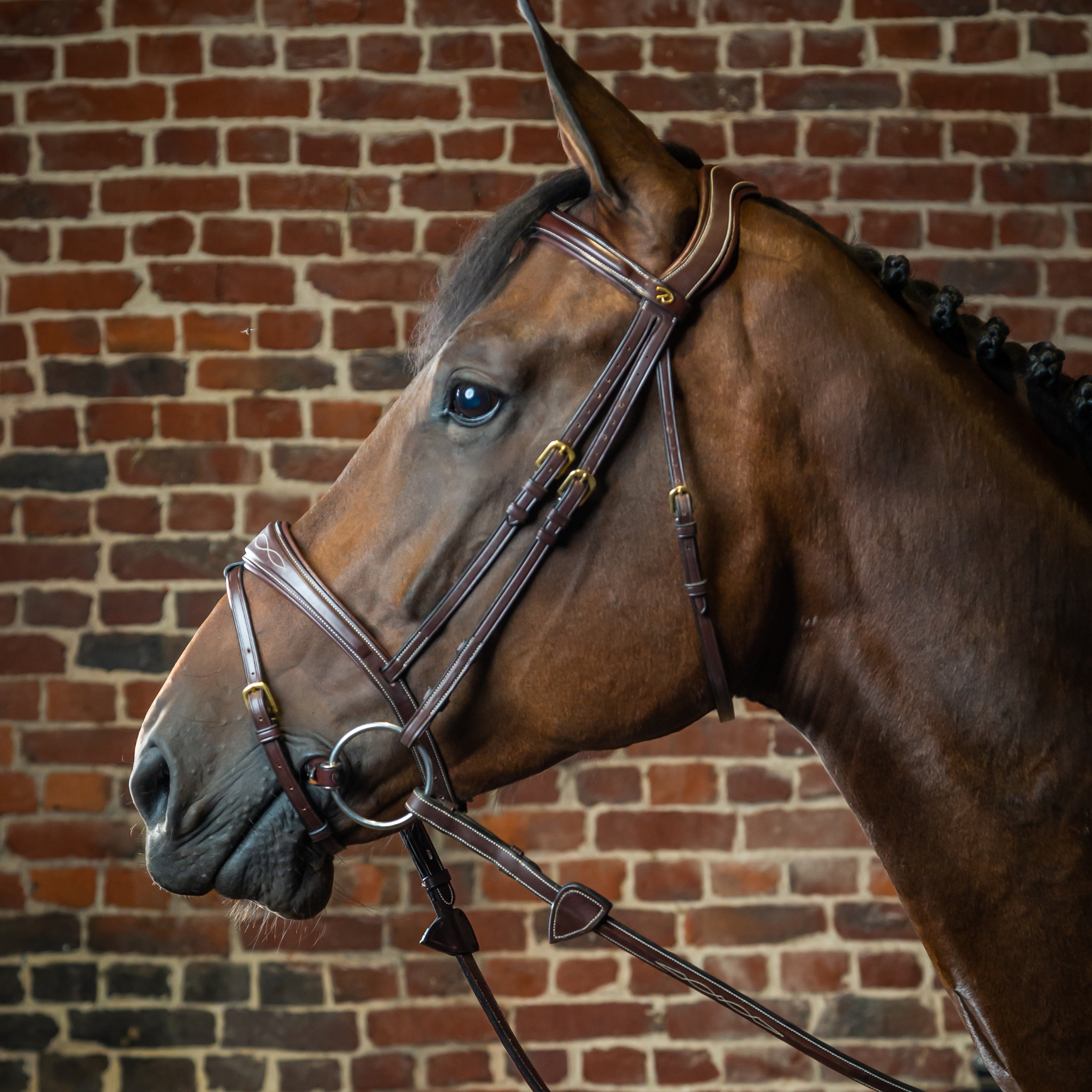 Dy'on Anatomic Flash Noseband Bridle, Brown, D Collection