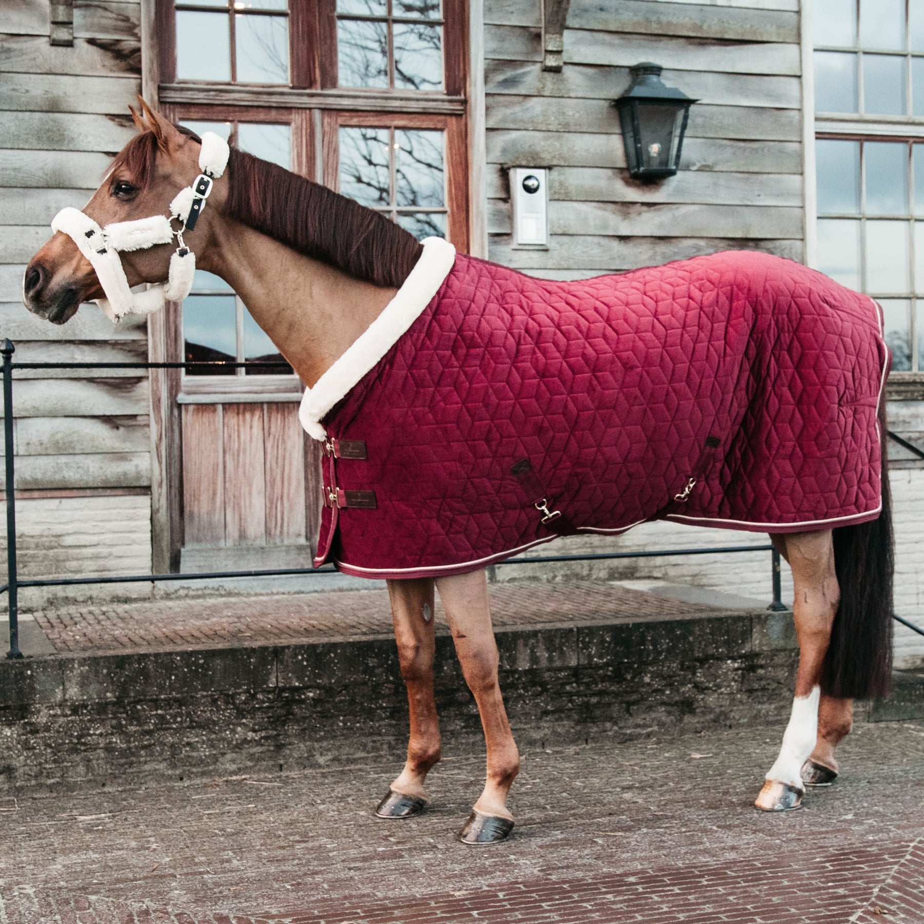 Kentucky Horsewear Show Rug Velvet 160g, Bordeaux