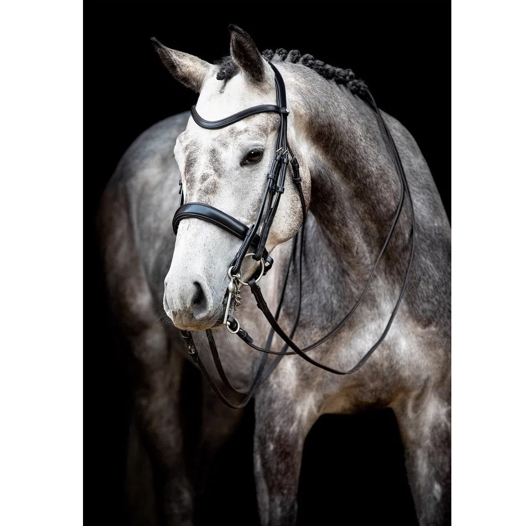 Montar Normandie Double Bridle, Black