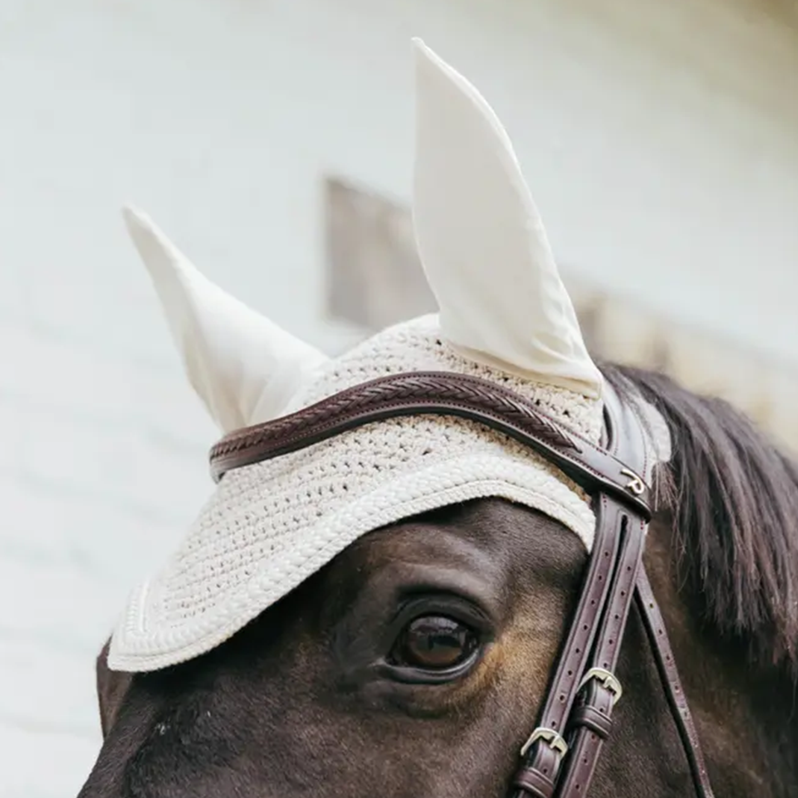 Kentucky Horsewear Fly Veil Wellington with Plaited Cord, Beige